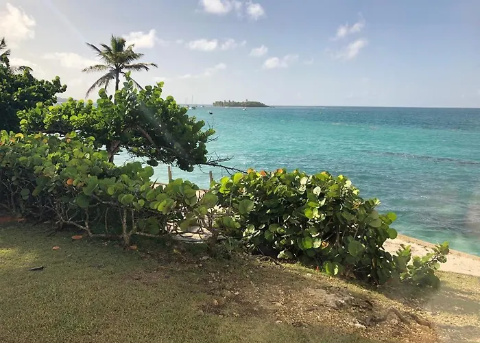Beau Studio Lumineux Vue Mer Acces Plage Et Piscine