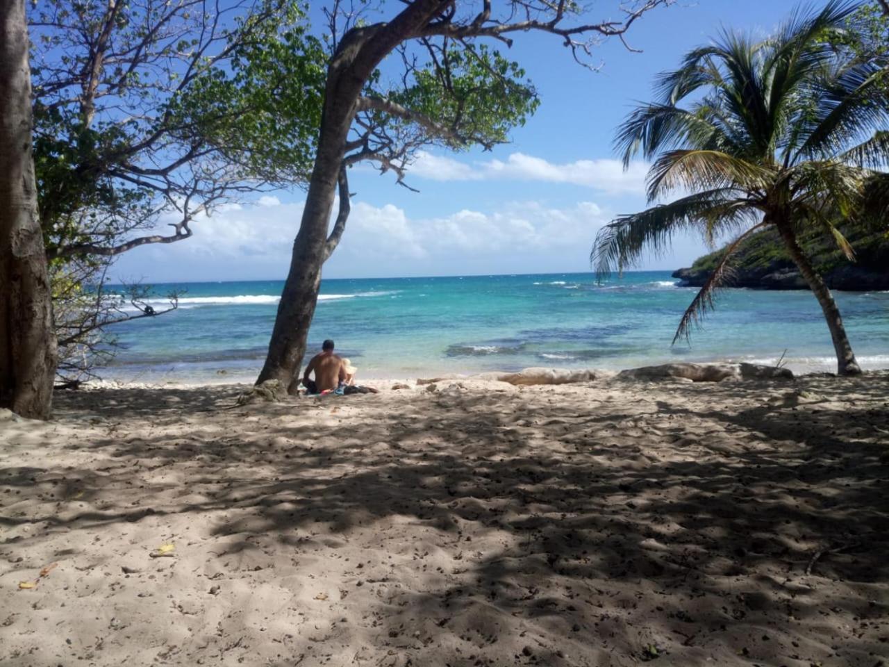Beau Lumineux Vue Acces Et Piscine Le Gosier (Grande-Terre)